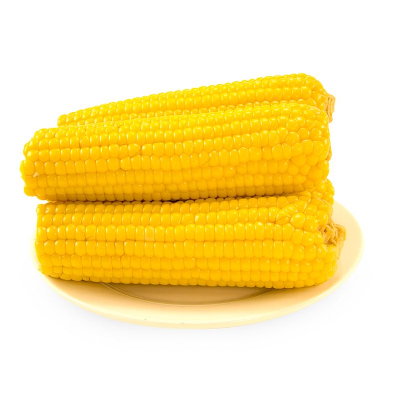 美味家常汤 玉米冬瓜排骨汤的详细做法