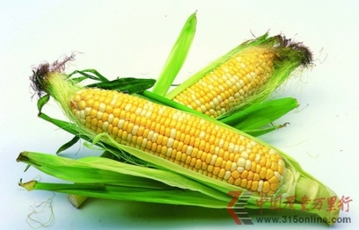 警惕“洋玉米”先玉335 高产光环下的生态隐忧与产业安全思考