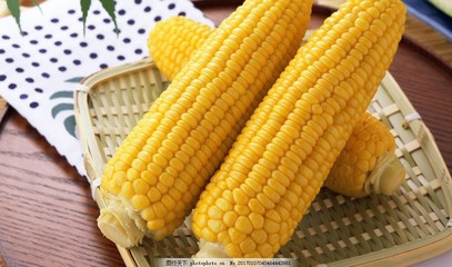 玉米 从田野到餐桌的全球传奇