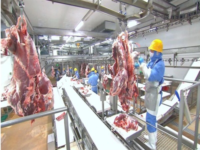 内蒙古通辽 跨越追赶抢时间 换挡位 提速度 深耕玉米产业新篇章